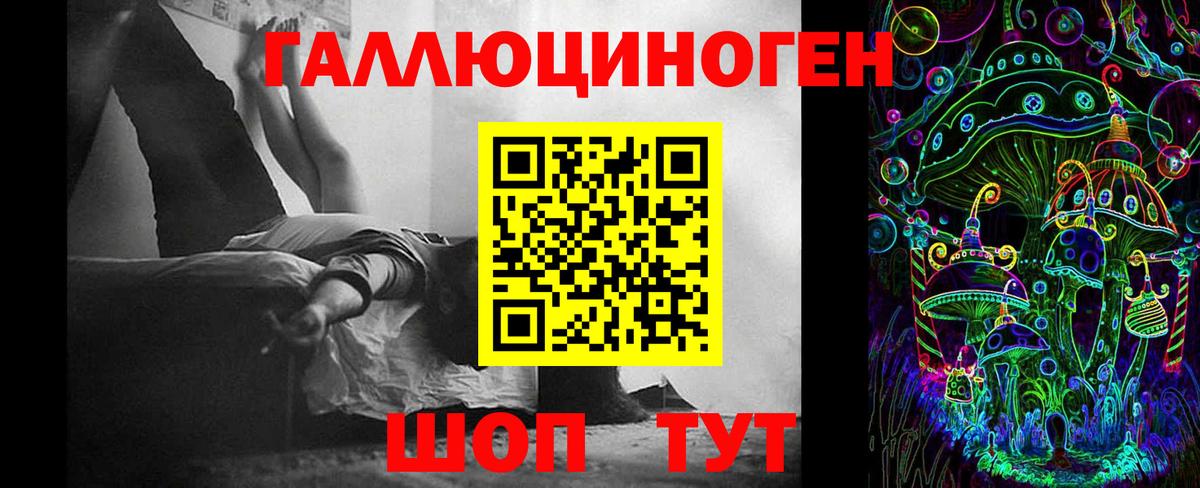 Бутурлиновка  Псилоцибиновые грибы MAGIC MUSHROOMS  Вход с VPN  Галлюциногенные грибы Psilocybe 